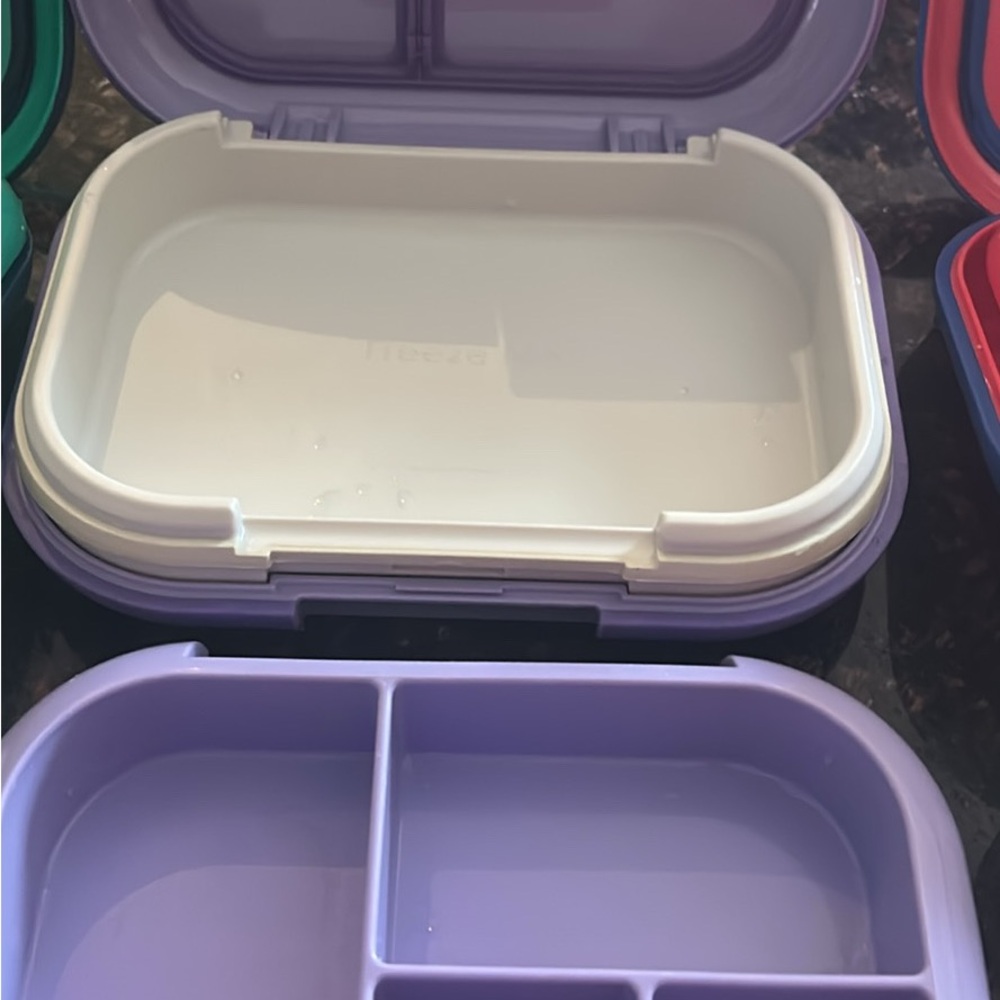 Purple and White Food Storage Container
